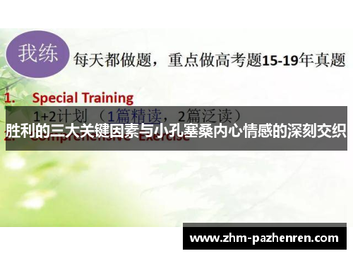 胜利的三大关键因素与小孔塞桑内心情感的深刻交织 胜利的三大关键因素与小孔塞桑内心情感的深刻交织