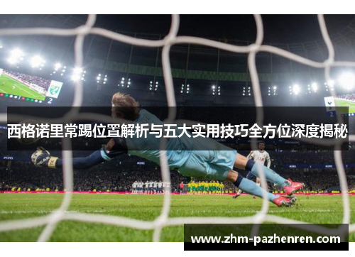 西格诺里常踢位置解析与五大实用技巧全方位深度揭秘 西格诺里常踢位置解析与五大实用技巧全方位深度揭秘
